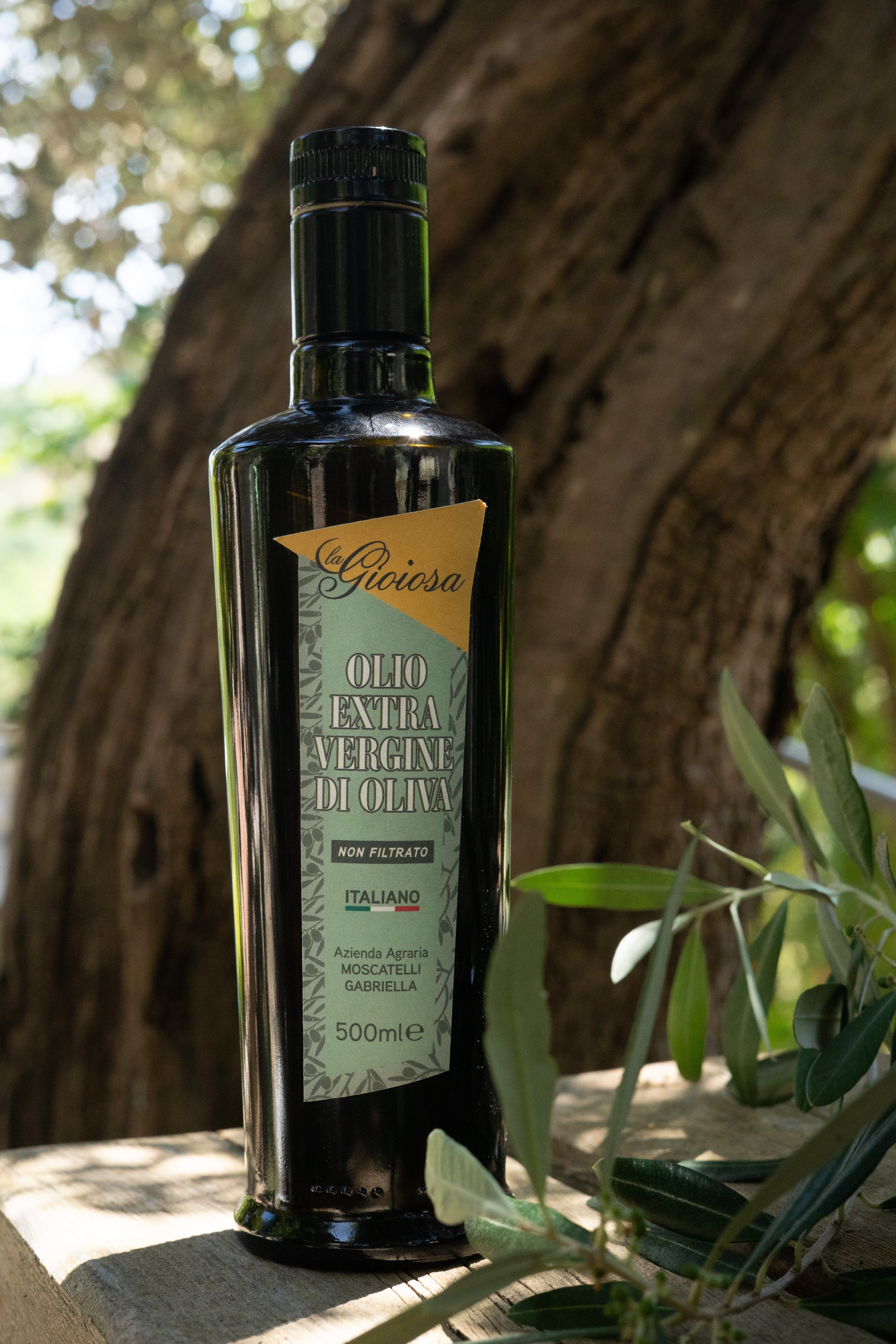 Olio extra vergine di oliva NON FILTRATO -5
